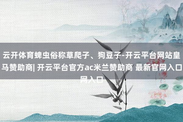 云开体育蜱虫俗称草爬子、狗豆子-开云平台网站皇马赞助商| 开云平台官方ac米兰赞助商 最新官网入口