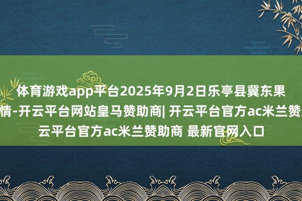体育游戏app平台2025年9月2日乐亭县冀东果菜批发市集价钱行情-开云平台网站皇马赞助商| 开云平台官方ac米兰赞助商 最新官网入口