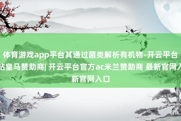 体育游戏app平台其通过菌类解析有机物-开云平台网站皇马赞助商| 开云平台官方ac米兰赞助商 最新官网入口
