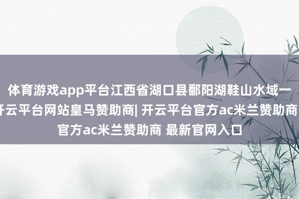 体育游戏app平台江西省湖口县鄱阳湖鞋山水域一片春意盎然-开云平台网站皇马赞助商| 开云平台官方ac米兰赞助商 最新官网入口